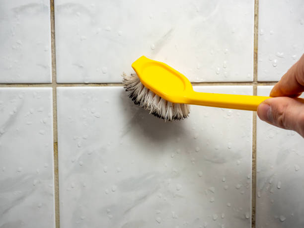 Best Emergency Mold Removal  in Mooreville, MS