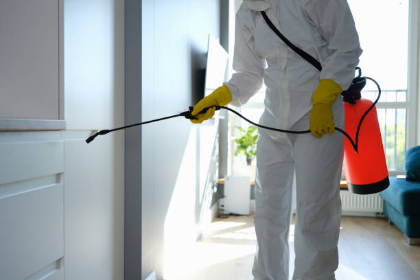 Best Same-Day Mold Removal  in Mooreville, MS