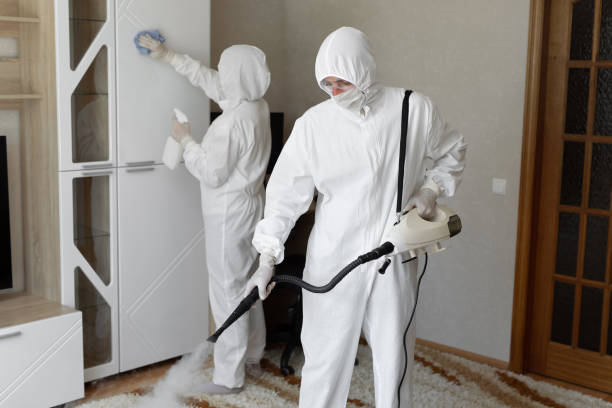 Best Crawl Space Mold Removal  in Mooreville, MS