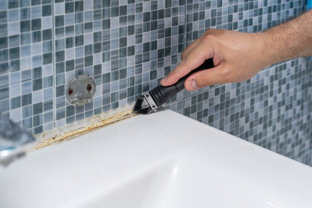 Best Commercial Mold Removal  in Mooreville, MS