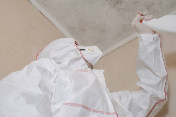Best Mold Removal Specialists  in Mooreville, MS
